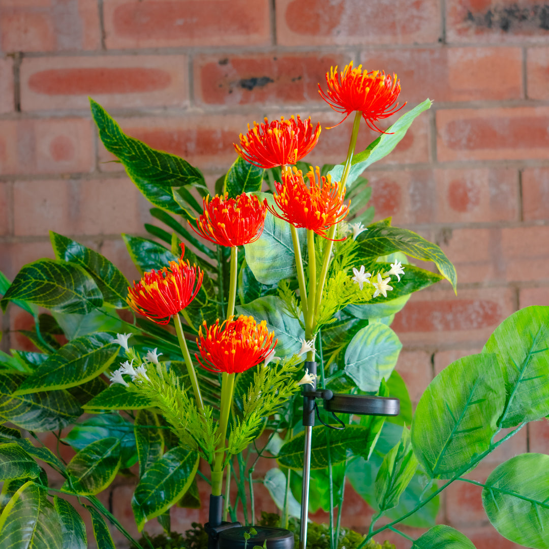 Solar Artificial Red Flower 35-50cm | Pincushion Style