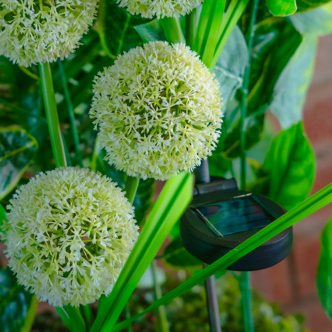 Solar Artificial Allium 35-50cm | White Globe Flowers