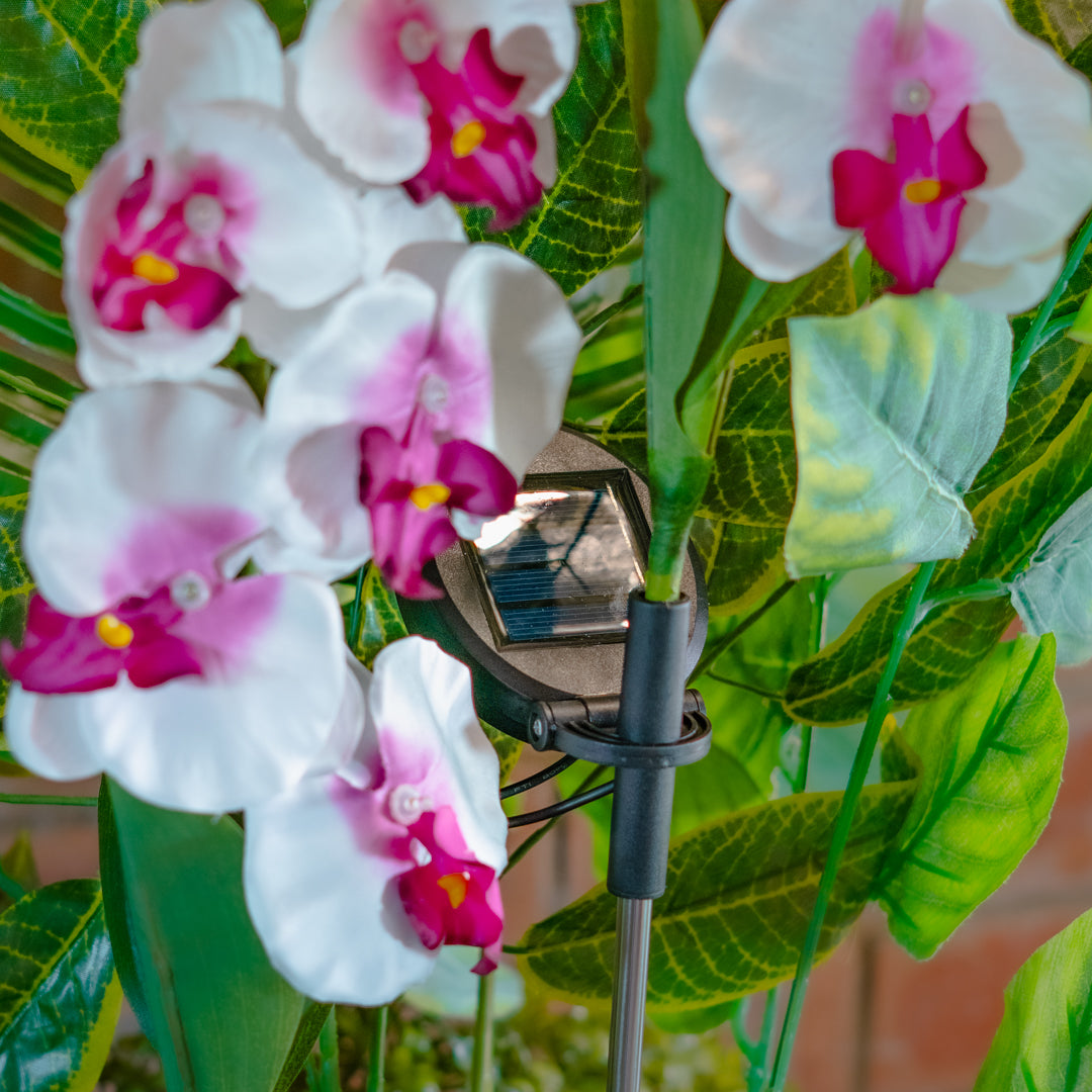 Solar Powered Artificial Orchid | White & Pink
