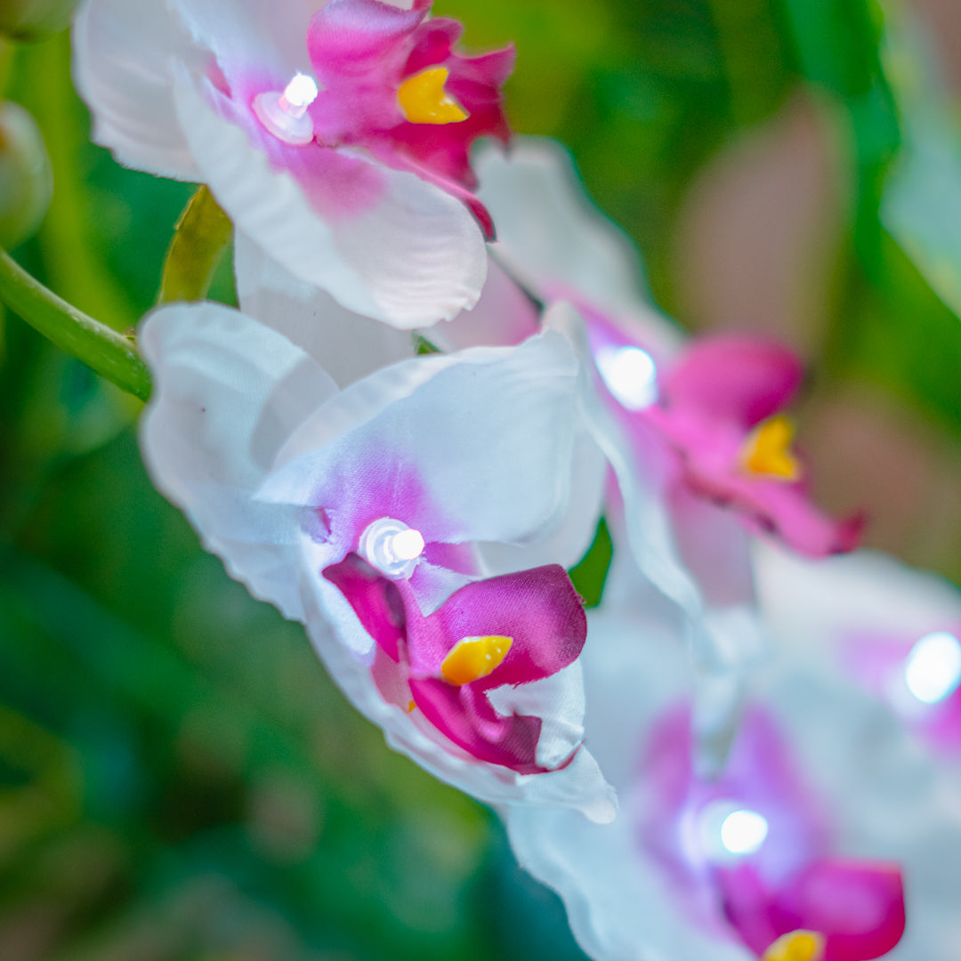 Solar Powered Artificial Orchid | White & Pink