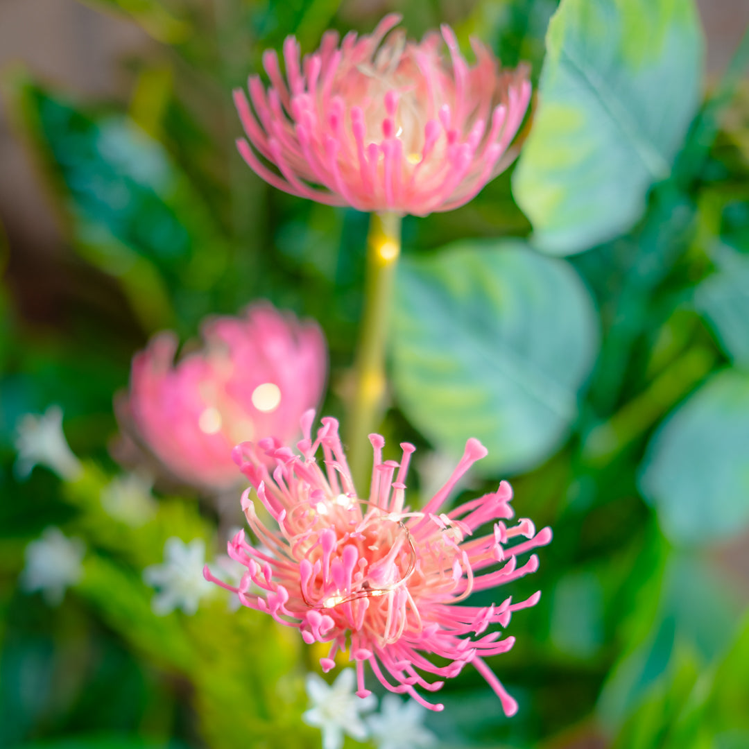 Solar Artificial Pink Flower 35-50cm | Pincushion Style
