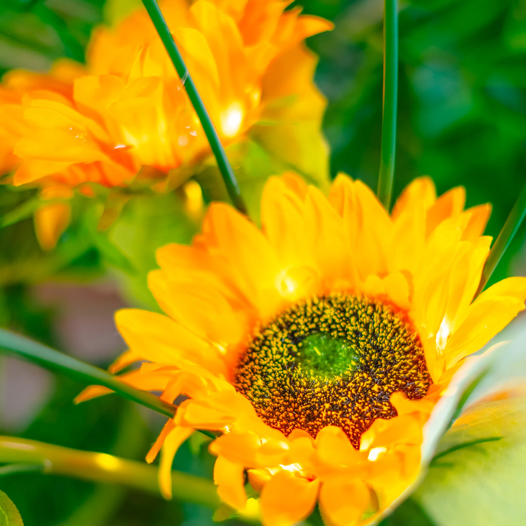 Solar Artificial Sunflower 35-50cm | Yellow Flowers
