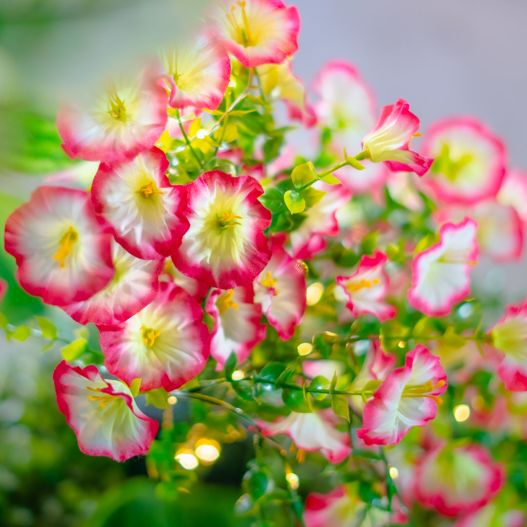 Solar Artificial Trailing Flowers 35-50cm | Pink & White