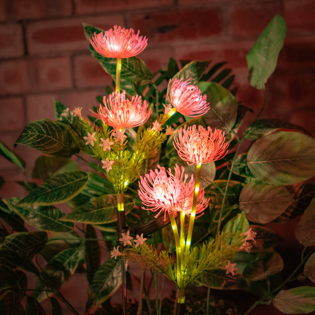 Solar Artificial Pink Flower 35-50cm | Pincushion Style