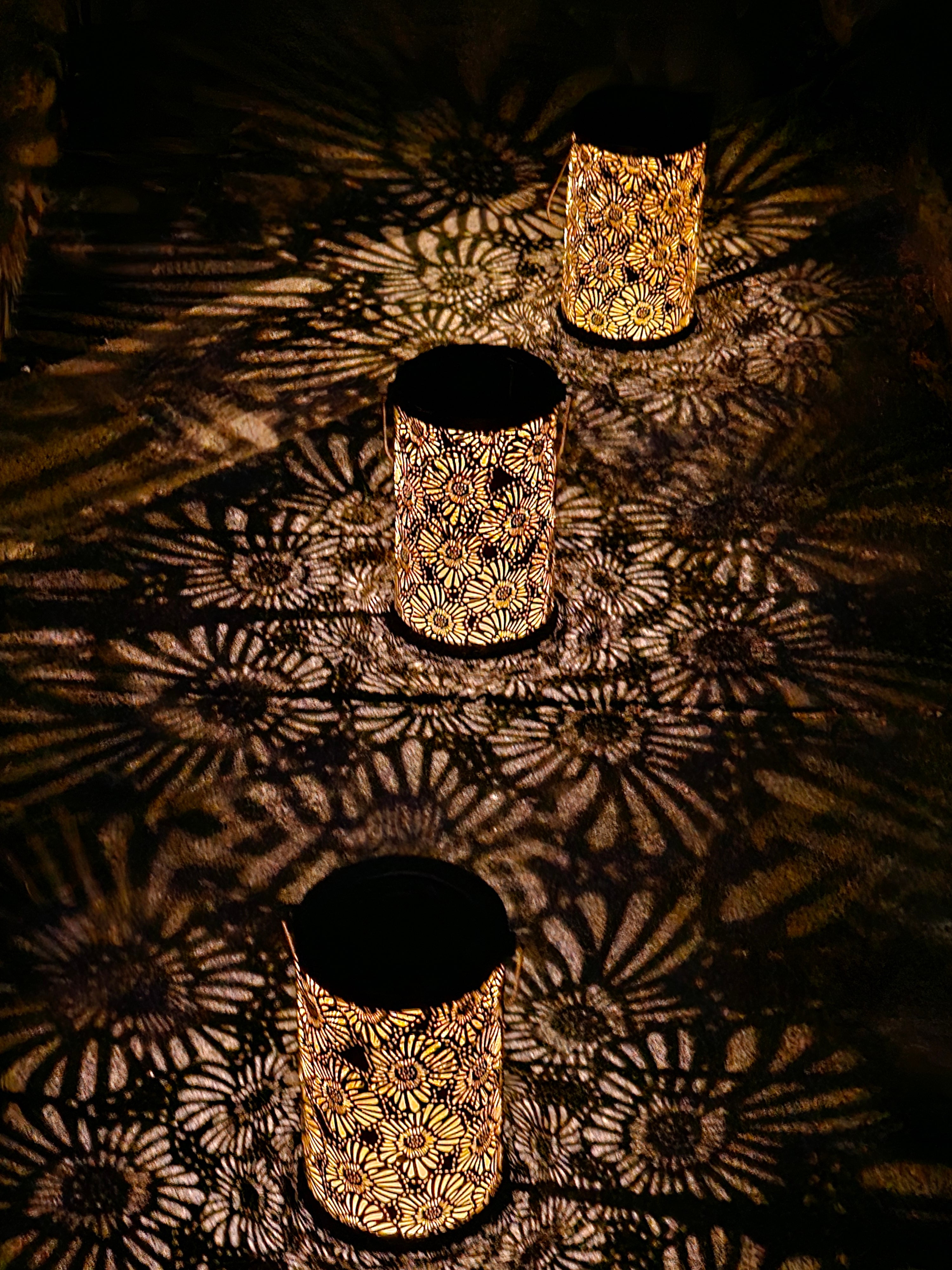 Daisy Solar Lantern - SOLAR3