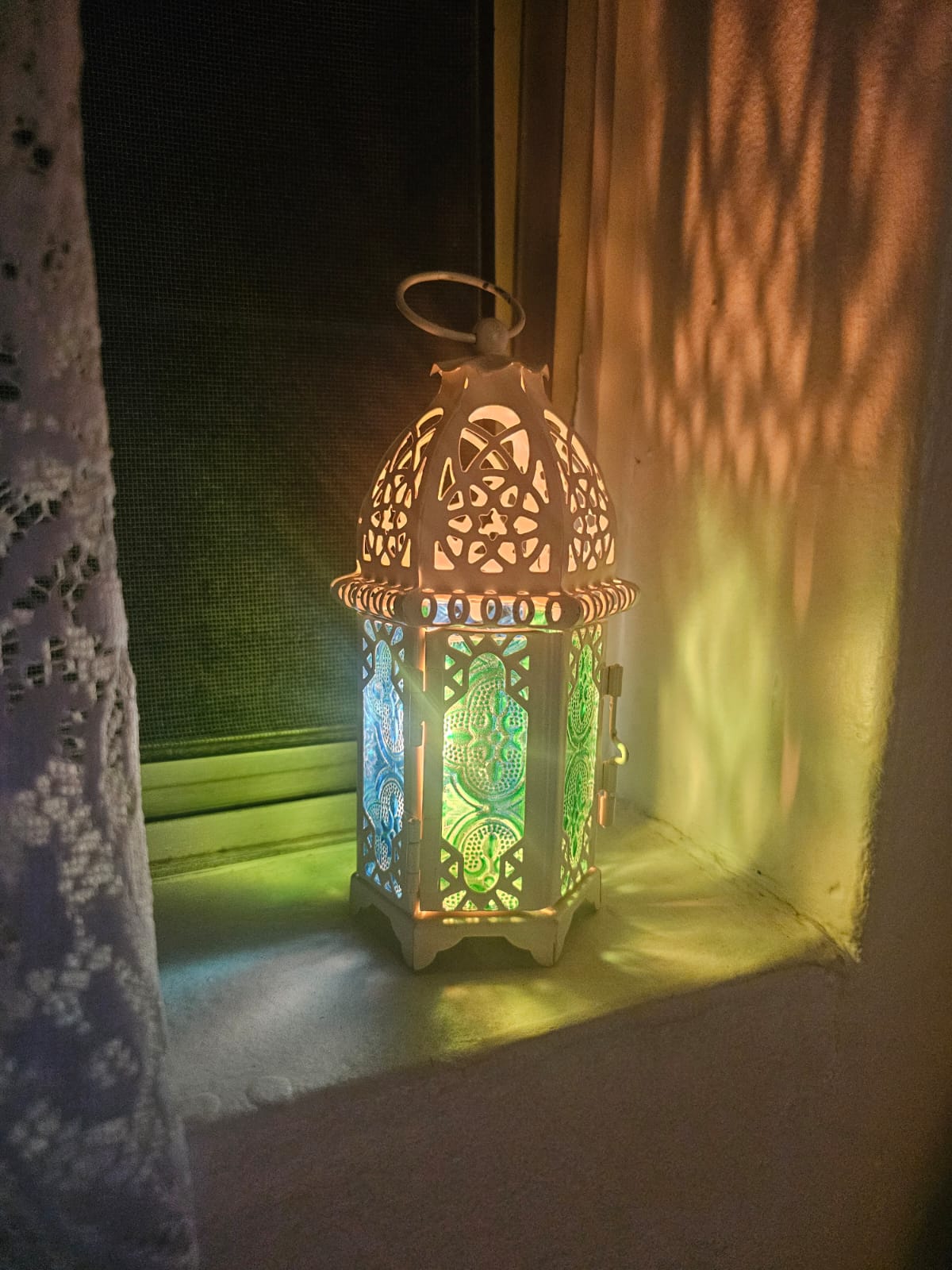 Coloured Viola Lantern