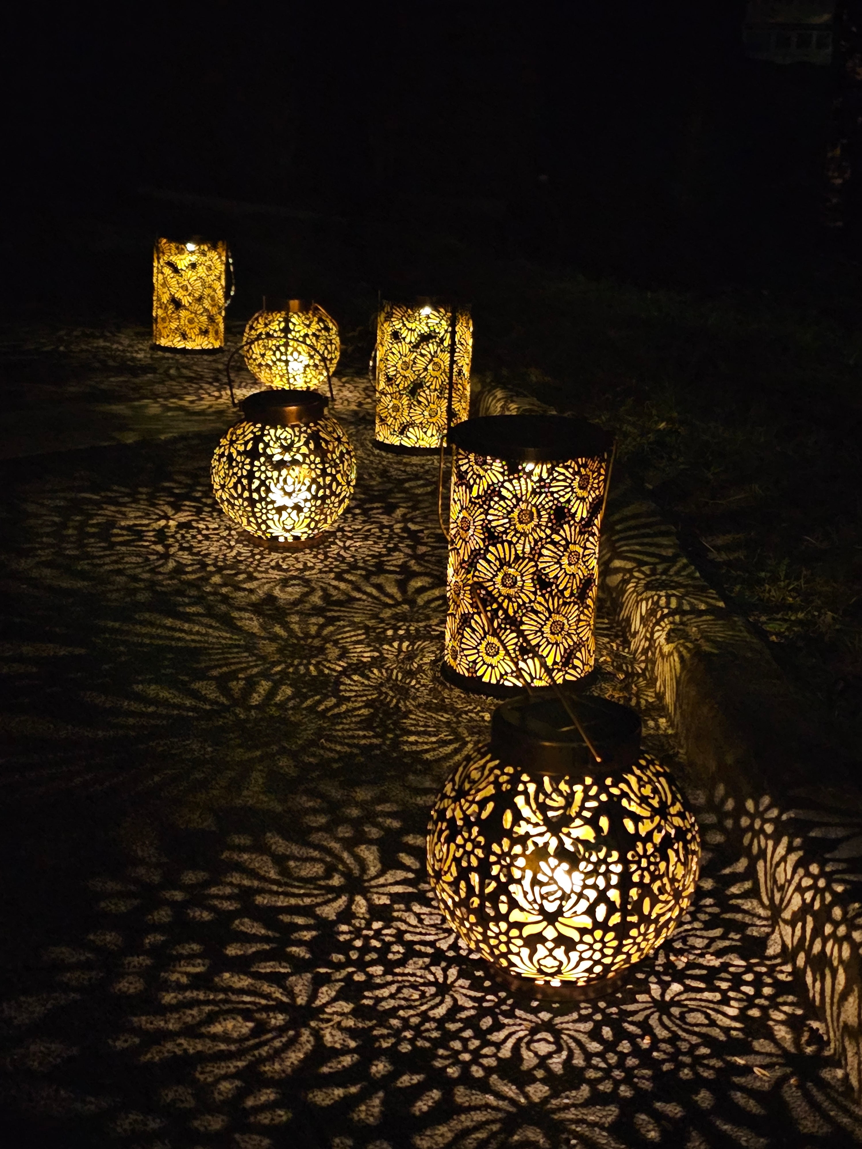 Daisy Solar Lantern - SOLAR3
