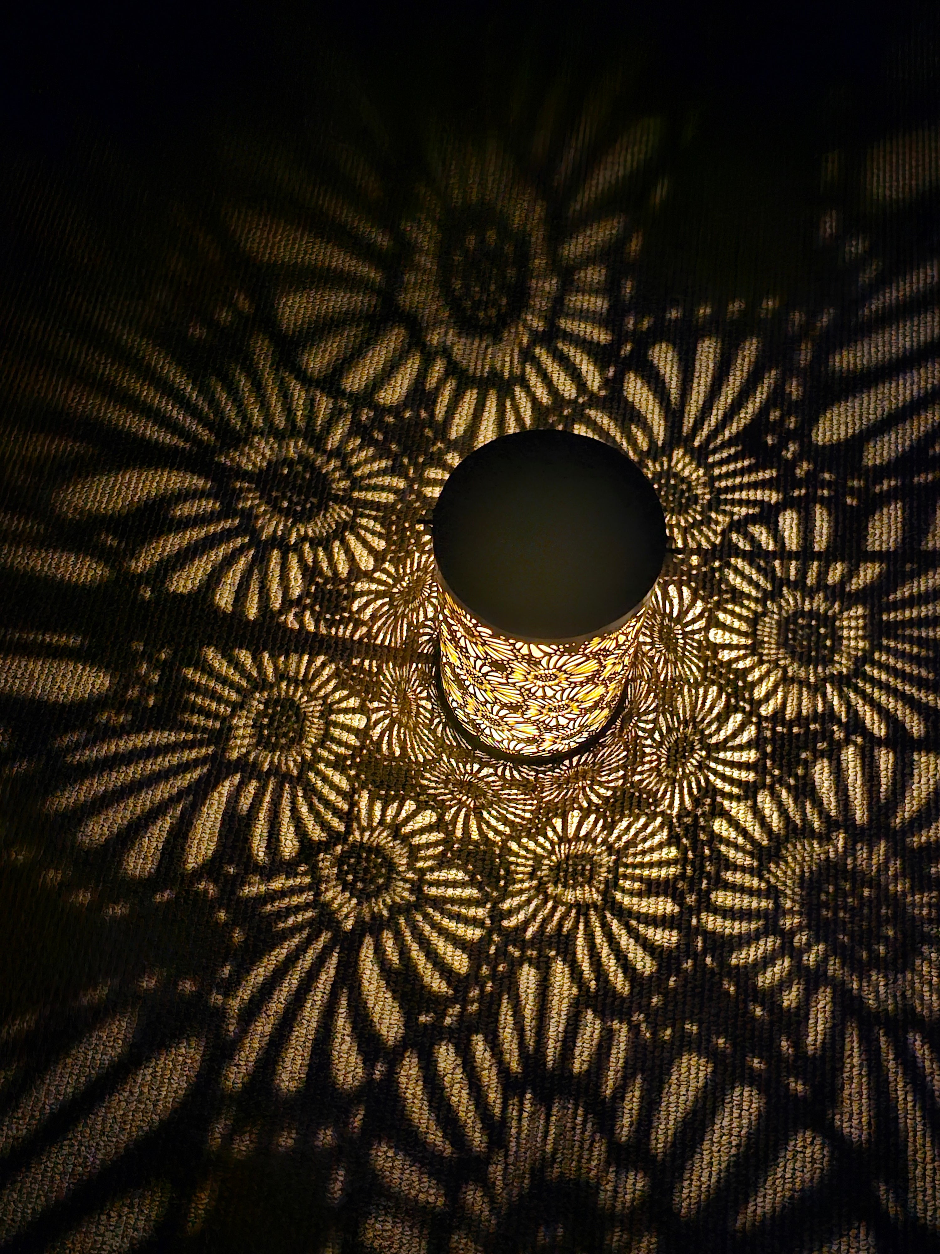 Daisy Solar Lantern - SOLAR3
