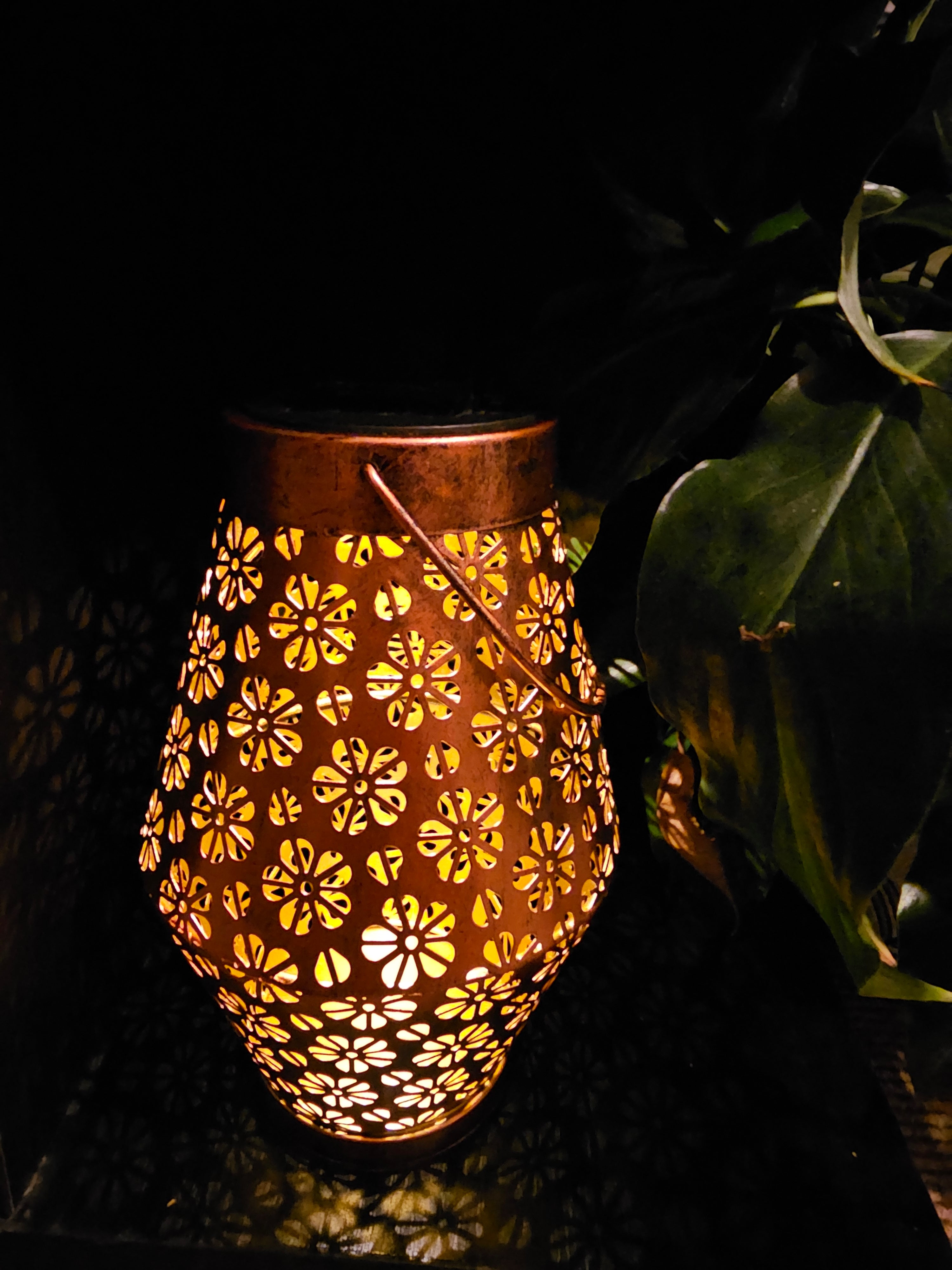 Buttercup Solar Lantern - SOLAR1