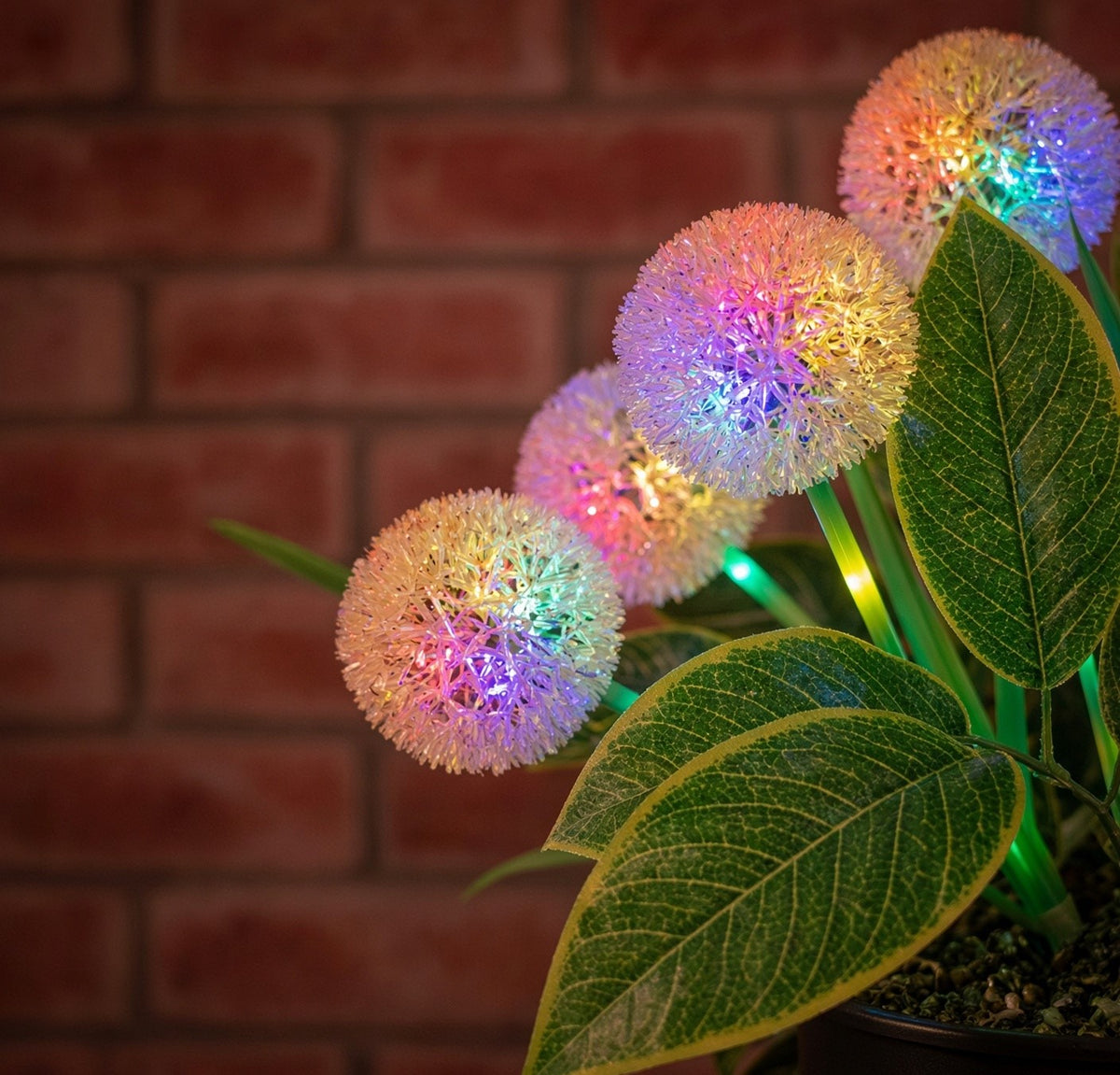 Solar Artificial Allium 35-50cm | White Globe Flowers