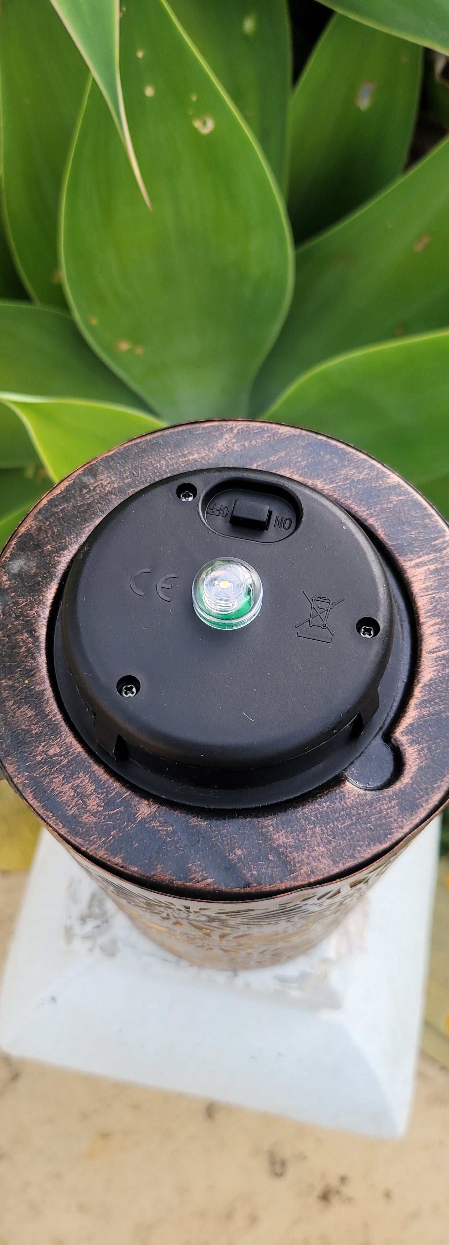 Daisy Solar Lantern - SOLAR3