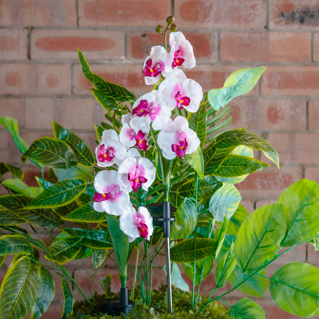 Solar Powered Artificial Orchid | White & Pink
