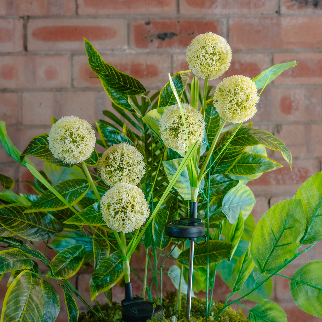 Solar Artificial Allium 35-50cm | White Globe Flowers