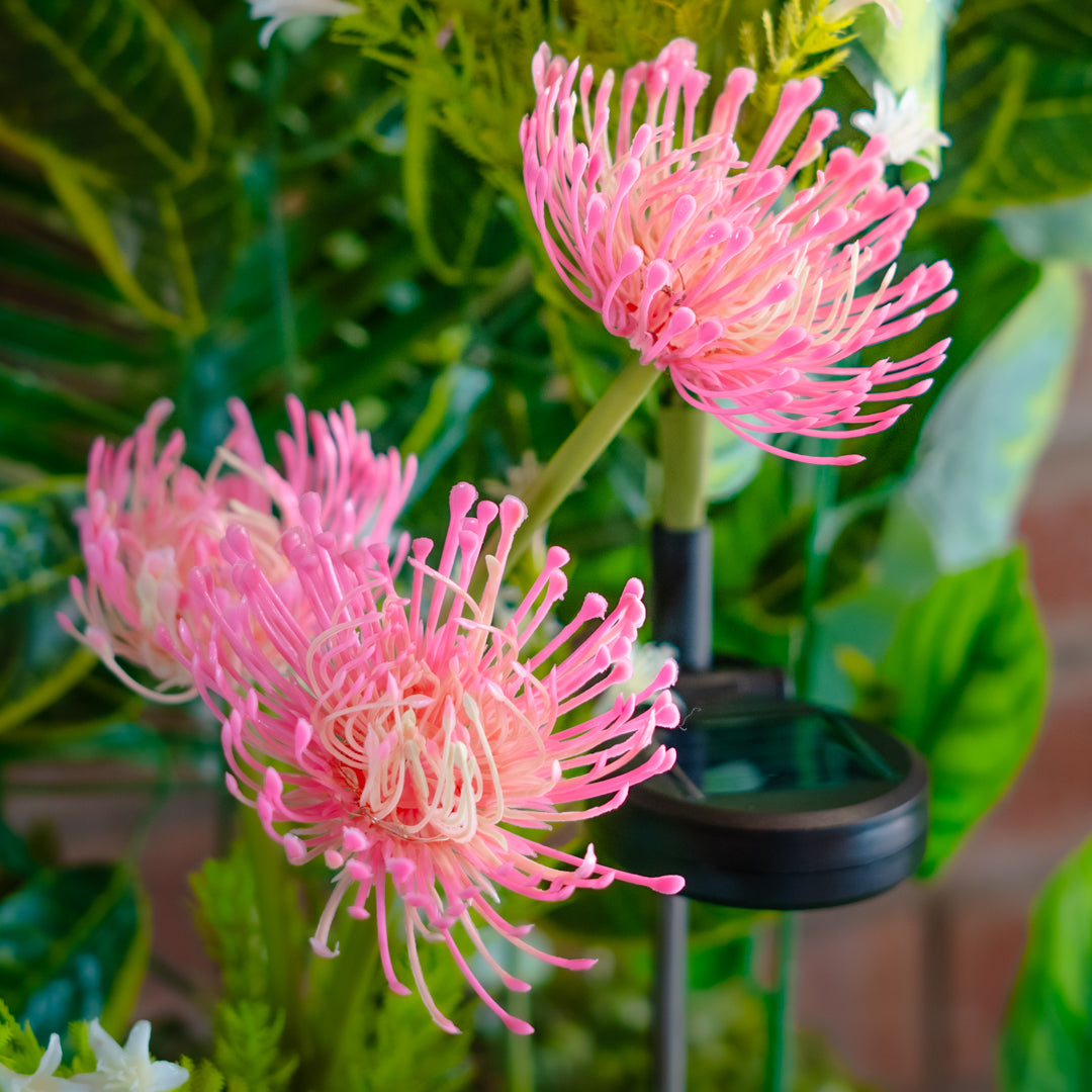 Solar Artificial Pink Flower 35-50cm | Pincushion Style