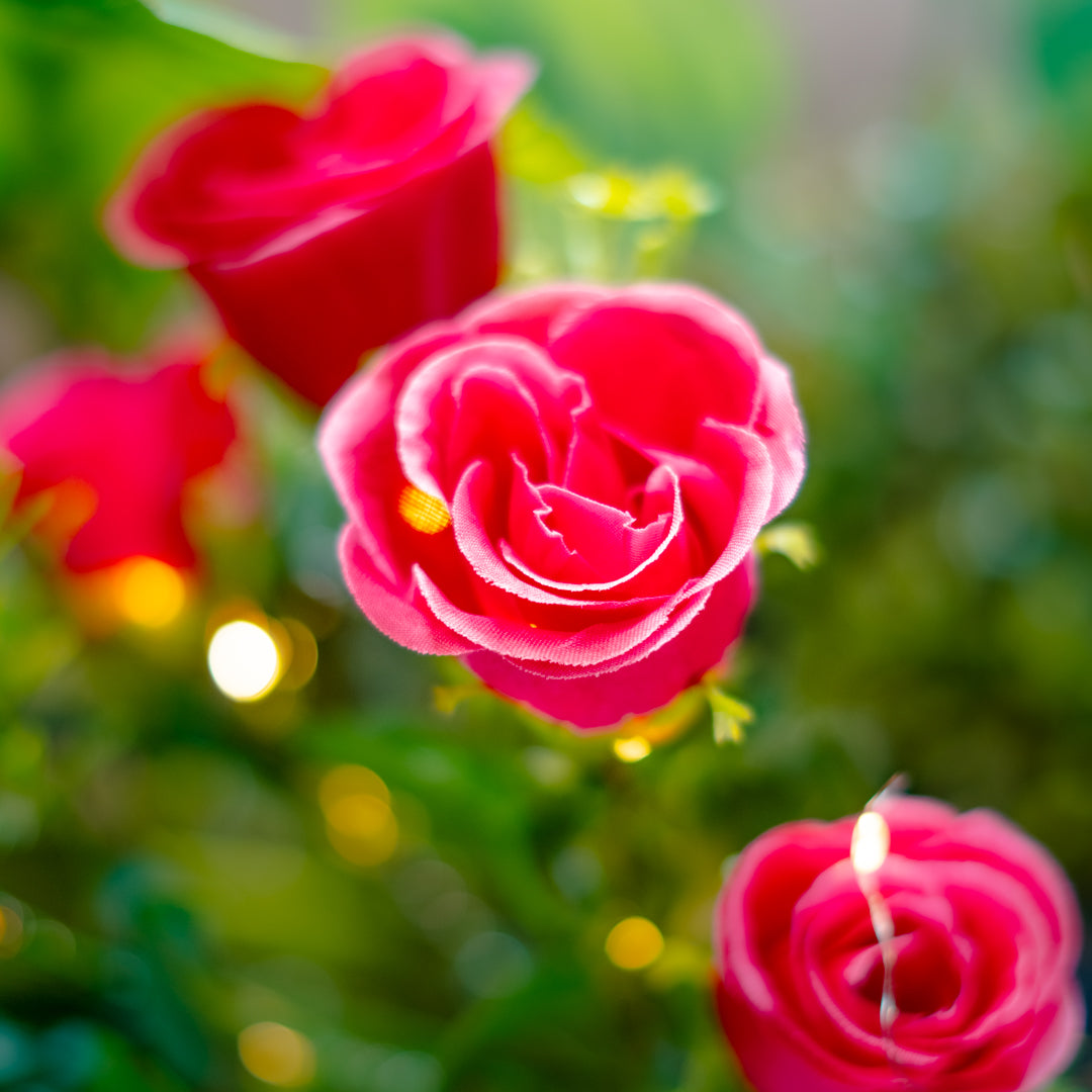 Solar Artificial Rose 35-50cm | Red Flowers