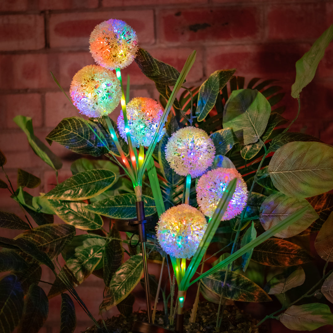 Solar Artificial Allium 35-50cm | White Globe Flowers
