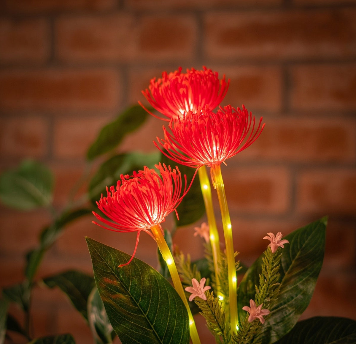 Solar Artificial Red Flower 35-50cm | Pincushion Style