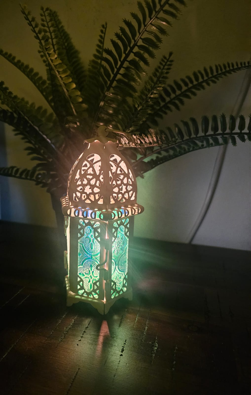 Coloured Viola Lantern