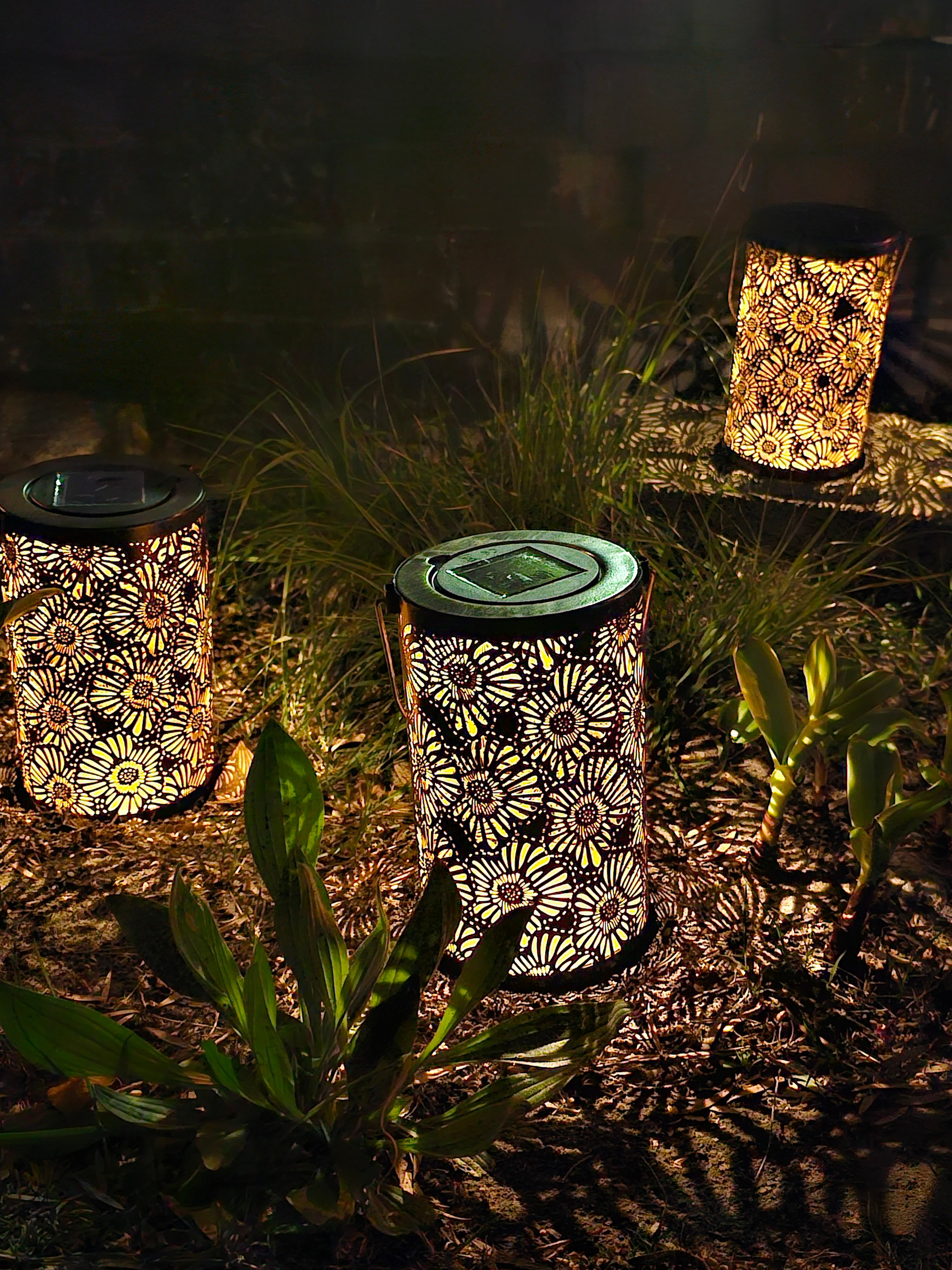 Daisy Solar Lantern - SOLAR3