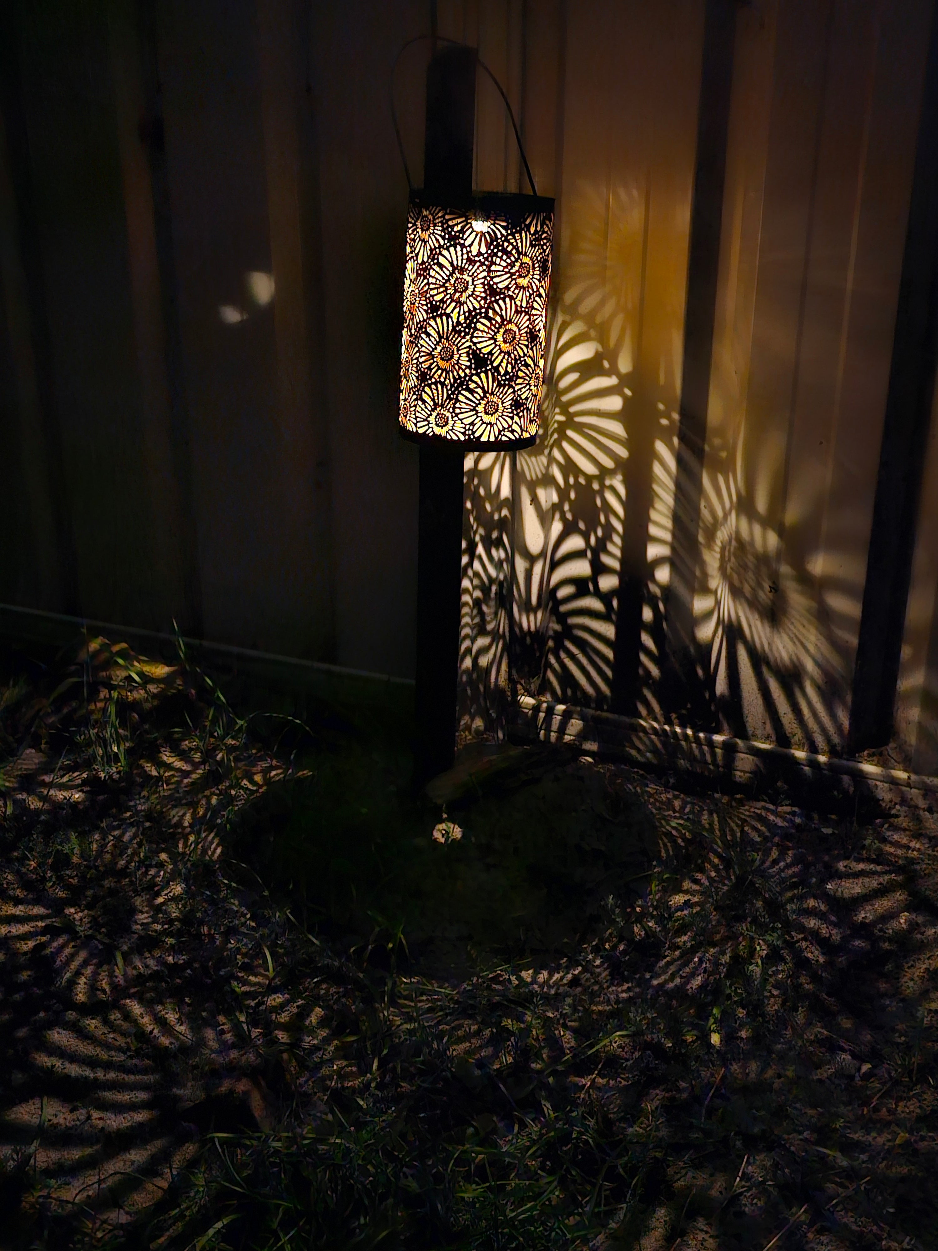 Daisy Solar Lantern - SOLAR3