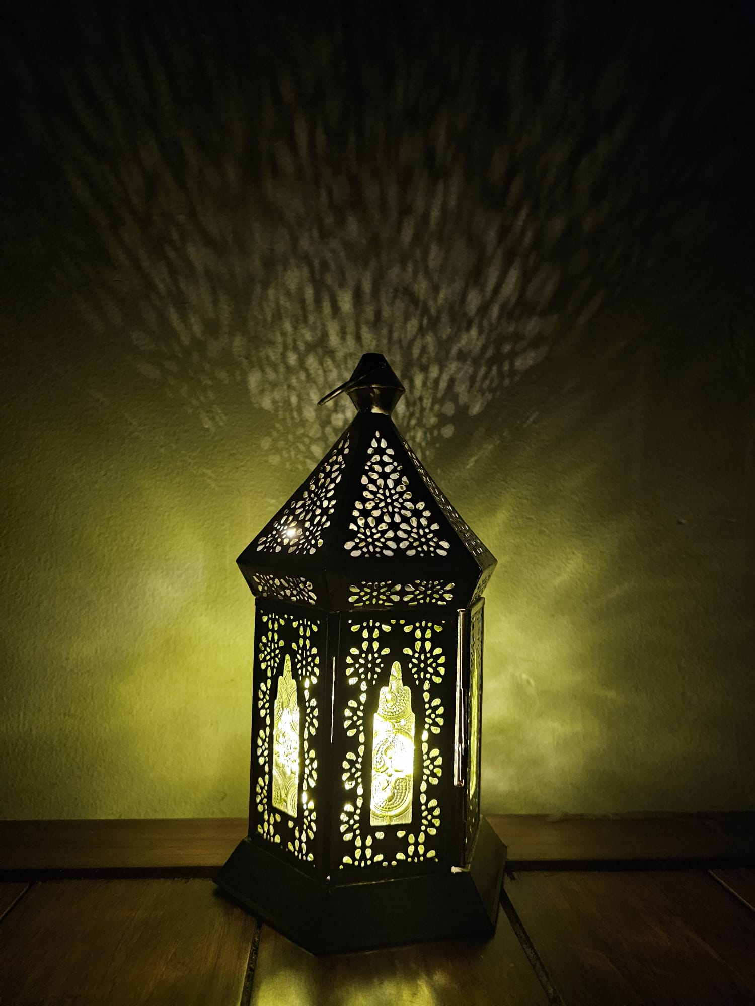 Fairy Lantern String Copper LED lights